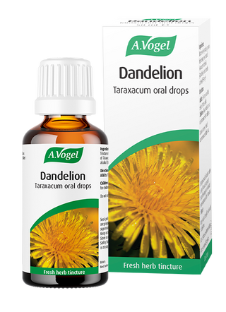 Dandelion Taraxacum  - 50ml Drops